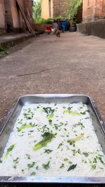 Braised Beef Noodles Today